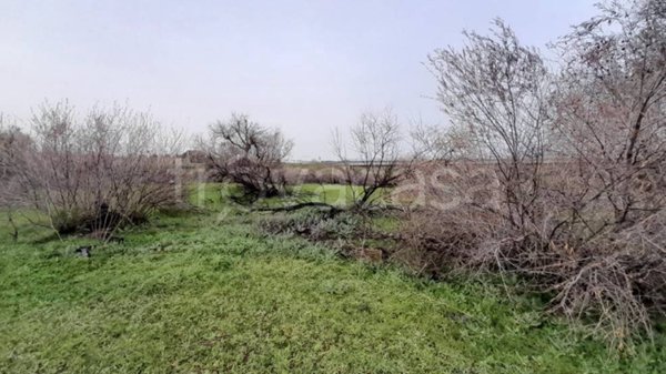 appartamento in vendita a Lavello