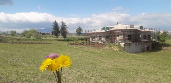 casa indipendente in vendita a Lavello