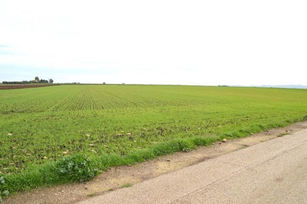 terreno agricolo in vendita a Lavello