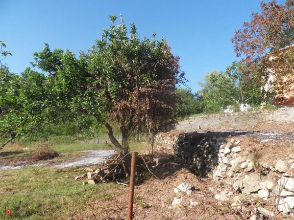 quadrivano in vendita a Maratea