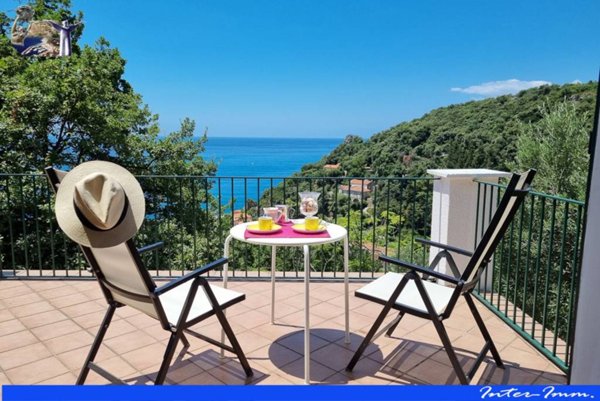 casa indipendente in vendita a Maratea in zona Porto