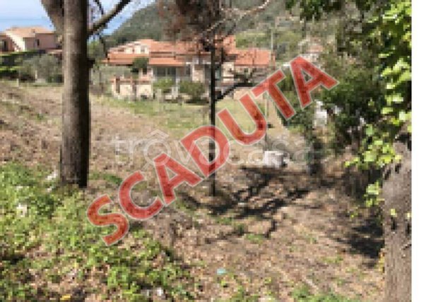 terreno agricolo in vendita a Maratea