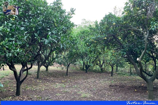 appartamento in vendita a Maratea in zona Porto