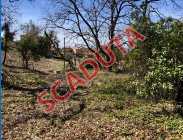 terreno agricolo in vendita a Maratea