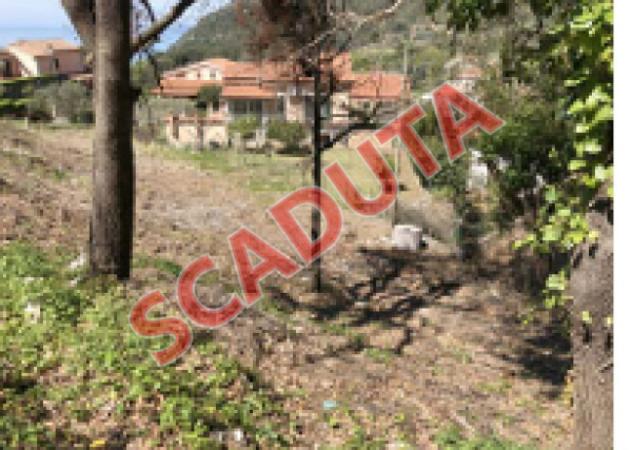 terreno agricolo in vendita a Maratea