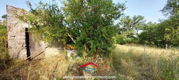 appartamento in vendita a Maratea