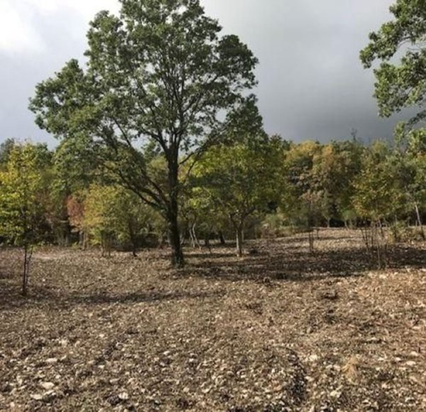casa indipendente in vendita a Maratea