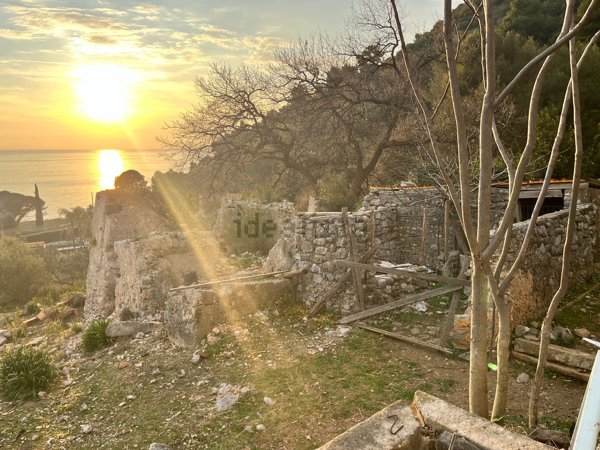 esavano in vendita a Maratea