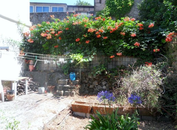 appartamento in vendita a Maratea