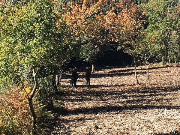 casa indipendente in vendita a Maratea