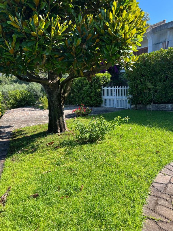 casa indipendente in vendita a Maratea in zona Marina