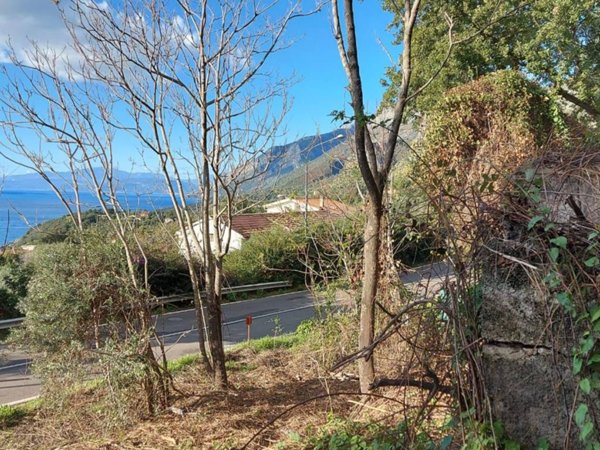 casa indipendente in vendita a Maratea in zona Marina