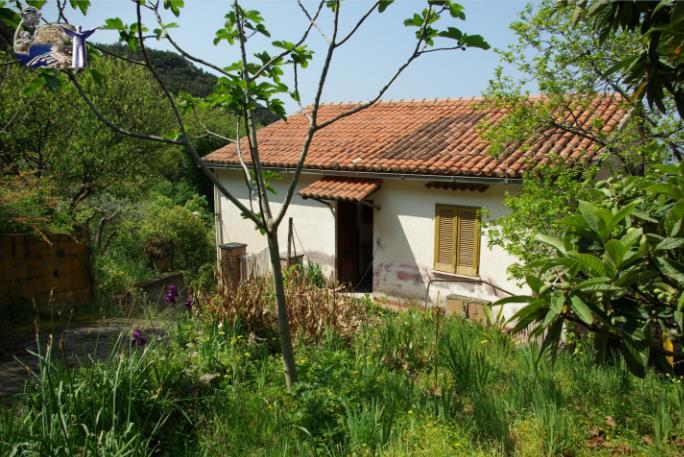 casa indipendente in vendita a Maratea in zona Marina