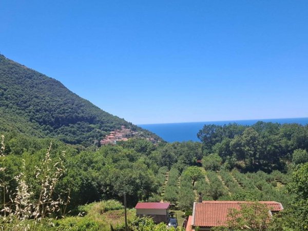 casa indipendente in vendita a Maratea in zona Marina