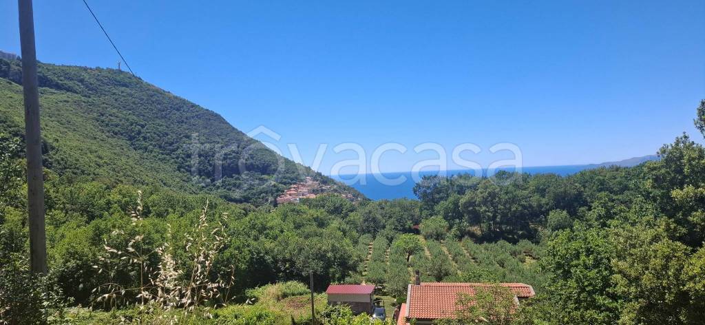 casa indipendente in vendita a Maratea in zona Marina
