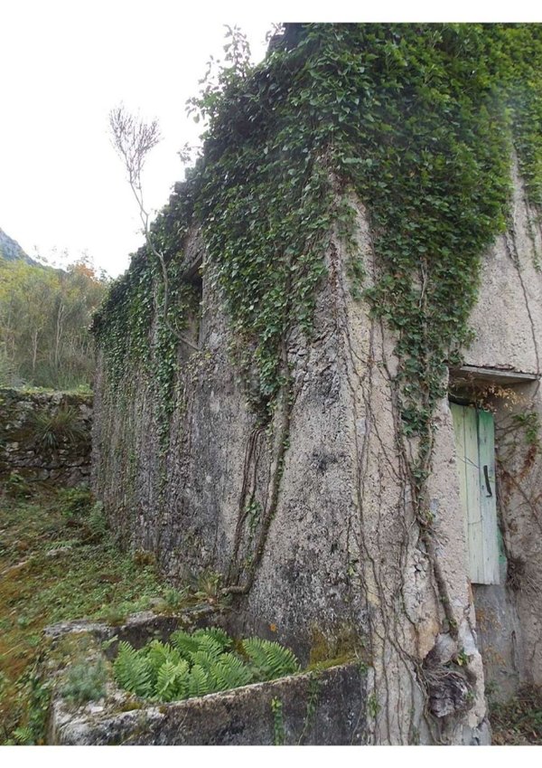 casa indipendente in vendita a Maratea in zona Marina