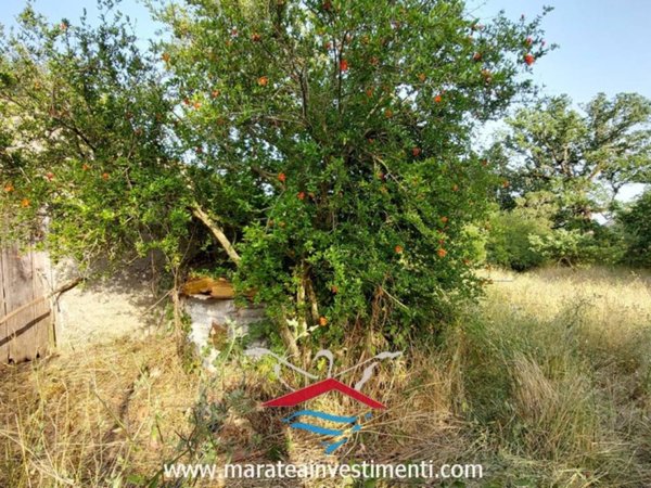 appartamento in vendita a Maratea in zona Brefaro