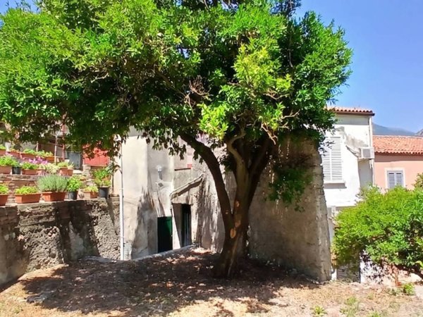 appartamento in vendita a Maratea in zona Marina