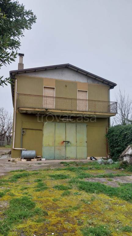 immagine annuncio 0 di 15