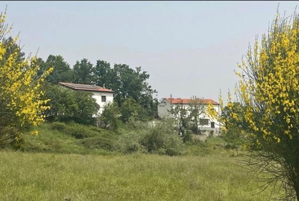 casa indipendente in vendita a Moliterno