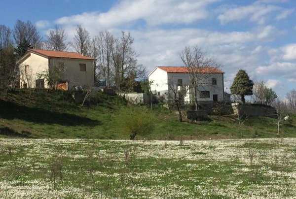 casa indipendente in vendita a Moliterno