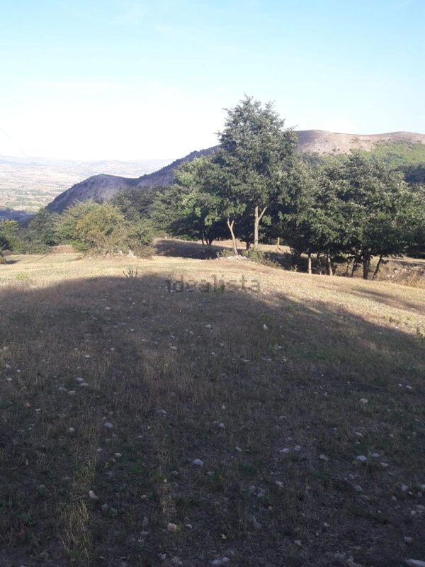 casa indipendente in vendita a Muro Lucano