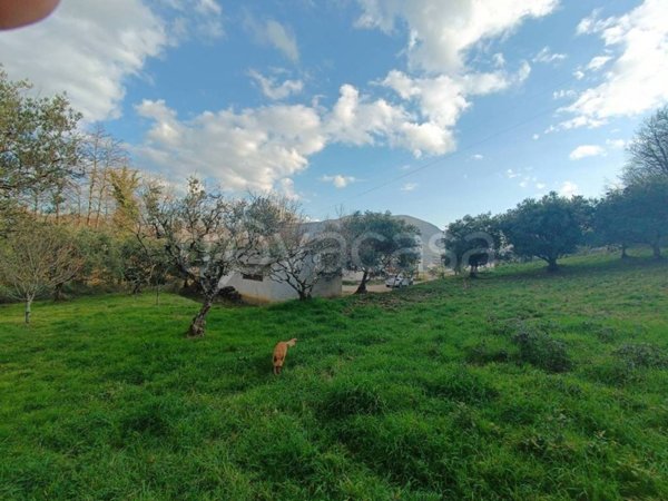 ufficio in vendita a Nemoli