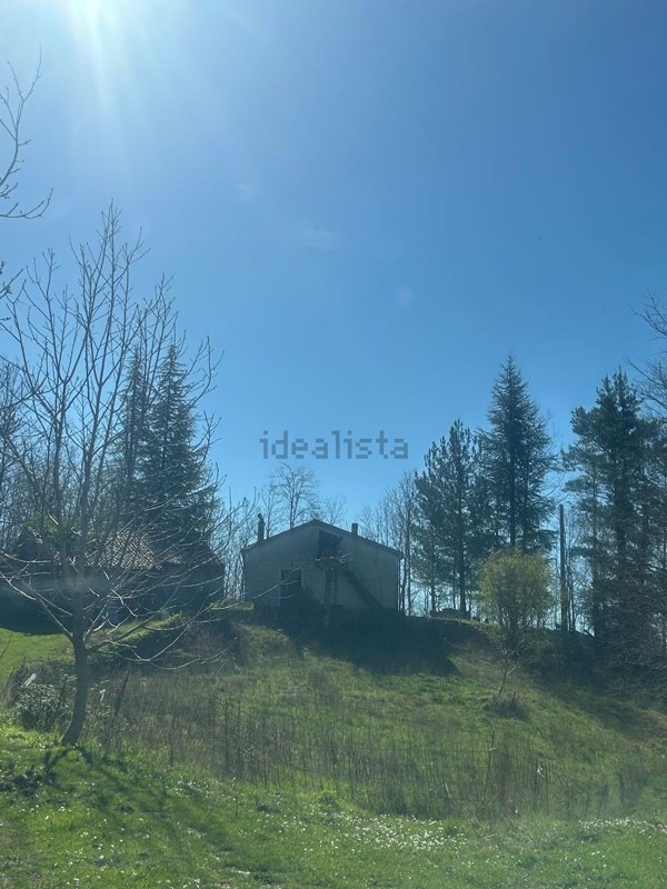 pentavano in vendita a Nemoli in zona Lago Sirino