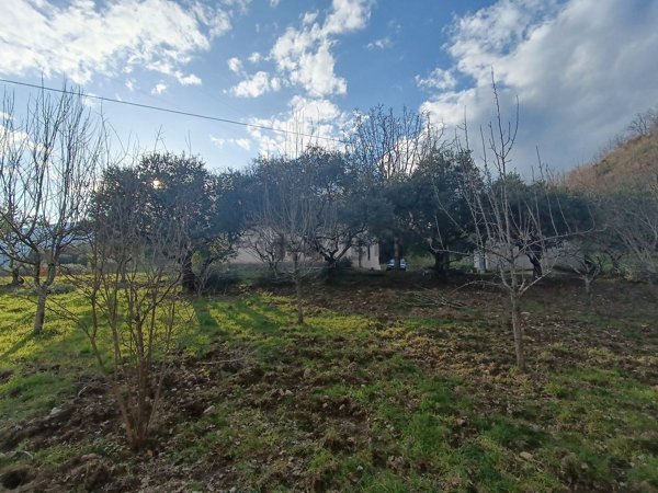 pentavano in vendita a Nemoli