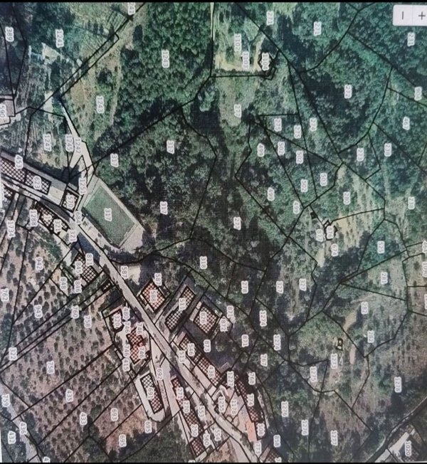 ufficio in vendita a Picerno