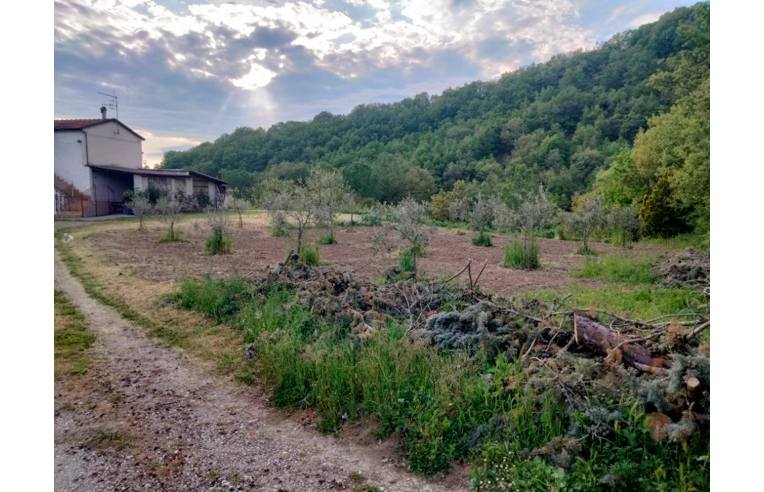 casa indipendente in vendita a Picerno