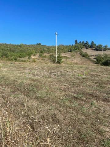 terreno agricolo in vendita a Pignola