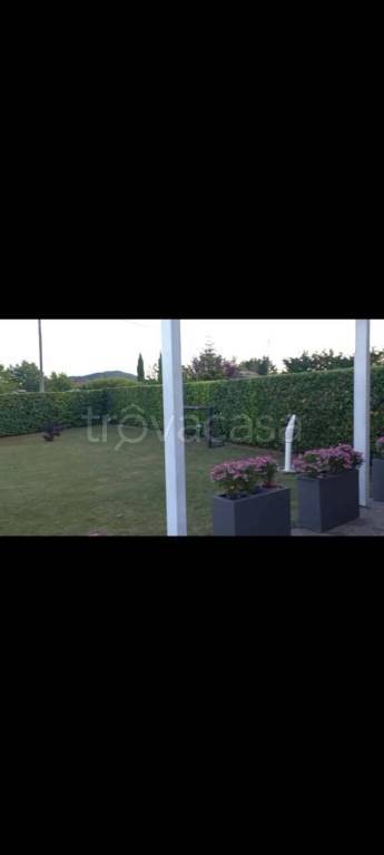 casa indipendente in vendita a Pignola