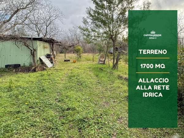 terreno agricolo in vendita a Pignola