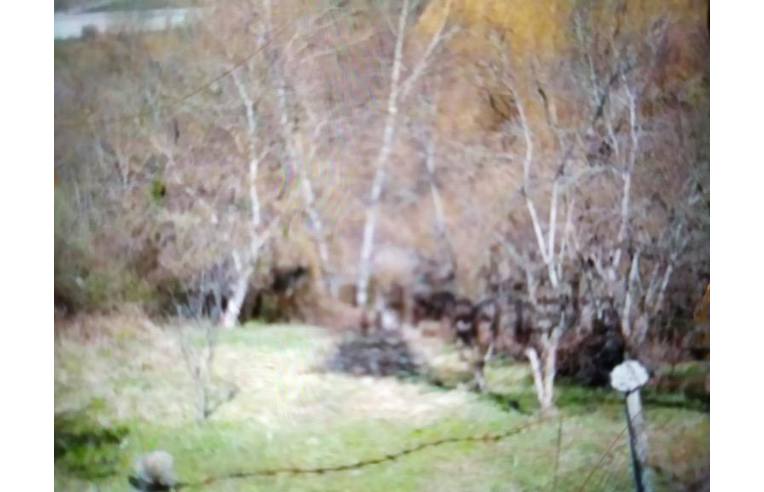 terreno agricolo in vendita a Pignola in zona Pantano