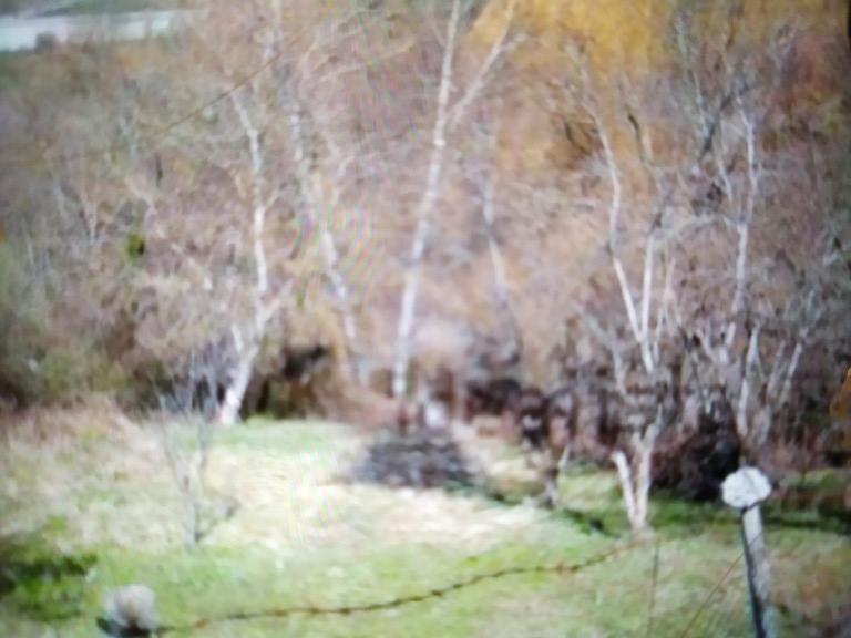 terreno agricolo in vendita a Pignola in zona Pantano