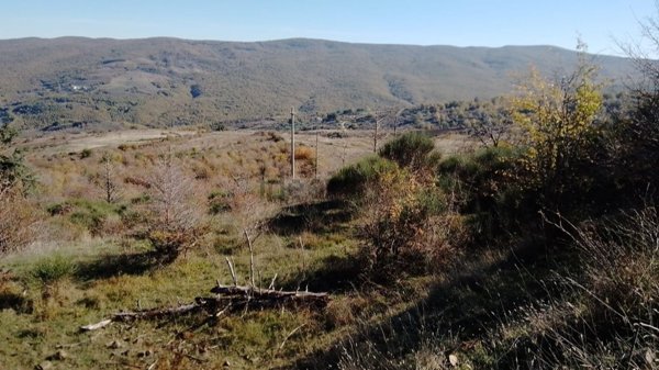 terreno agricolo in vendita a Pignola