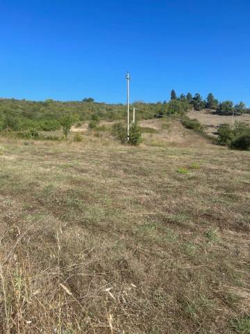 terreno agricolo in vendita a Pignola