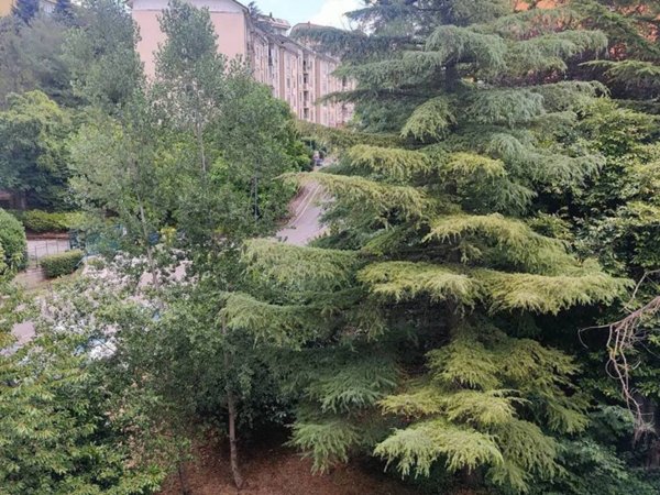appartamento in vendita a Potenza