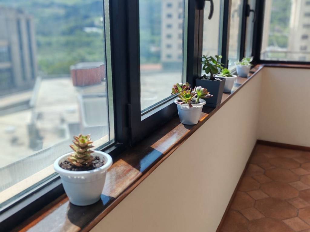 appartamento in vendita a Potenza