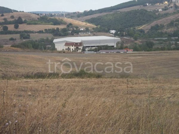 terreno agricolo in vendita a Potenza
