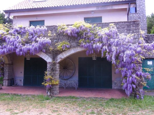 casa indipendente in vendita a Potenza