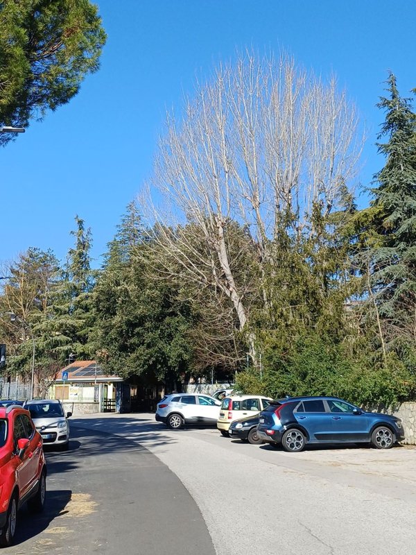 appartamento in vendita a Potenza in zona Rione Santa Maria