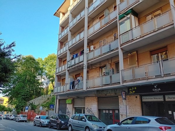 box auto in vendita a Potenza