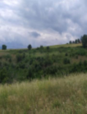 terreno agricolo in vendita a Rionero in Vulture