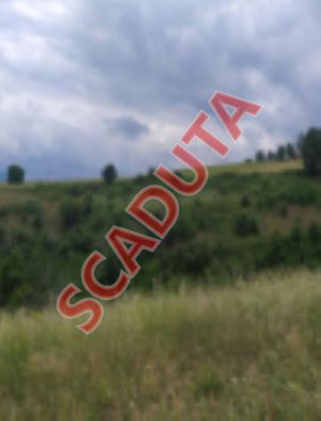 terreno agricolo in vendita a Rionero in Vulture