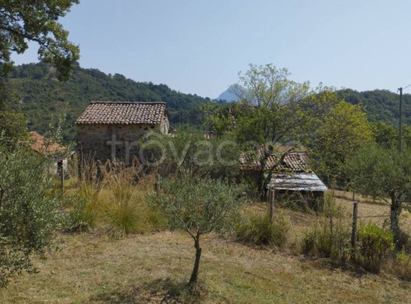 terreno agricolo in vendita a Rivello