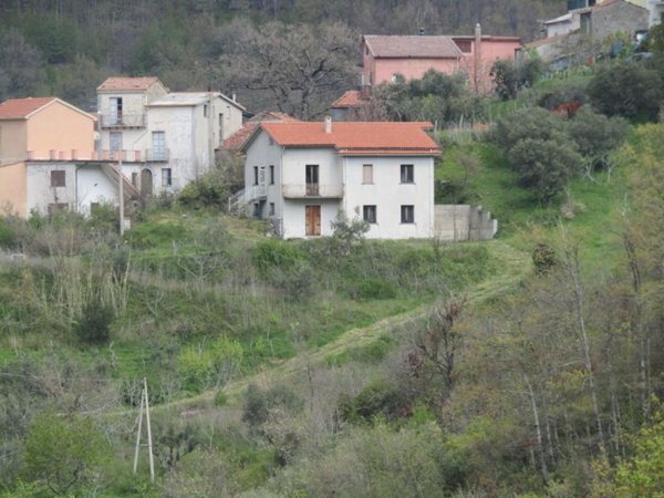 casa indipendente in vendita a Rivello