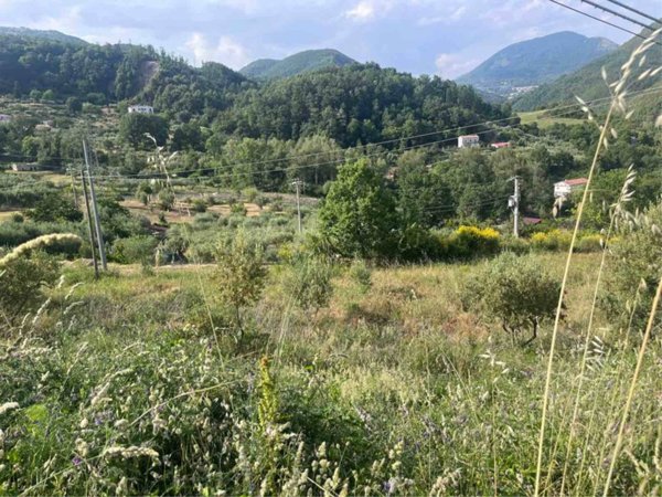 casa indipendente in vendita a Rivello