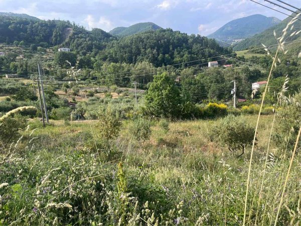 appartamento in vendita a Rivello